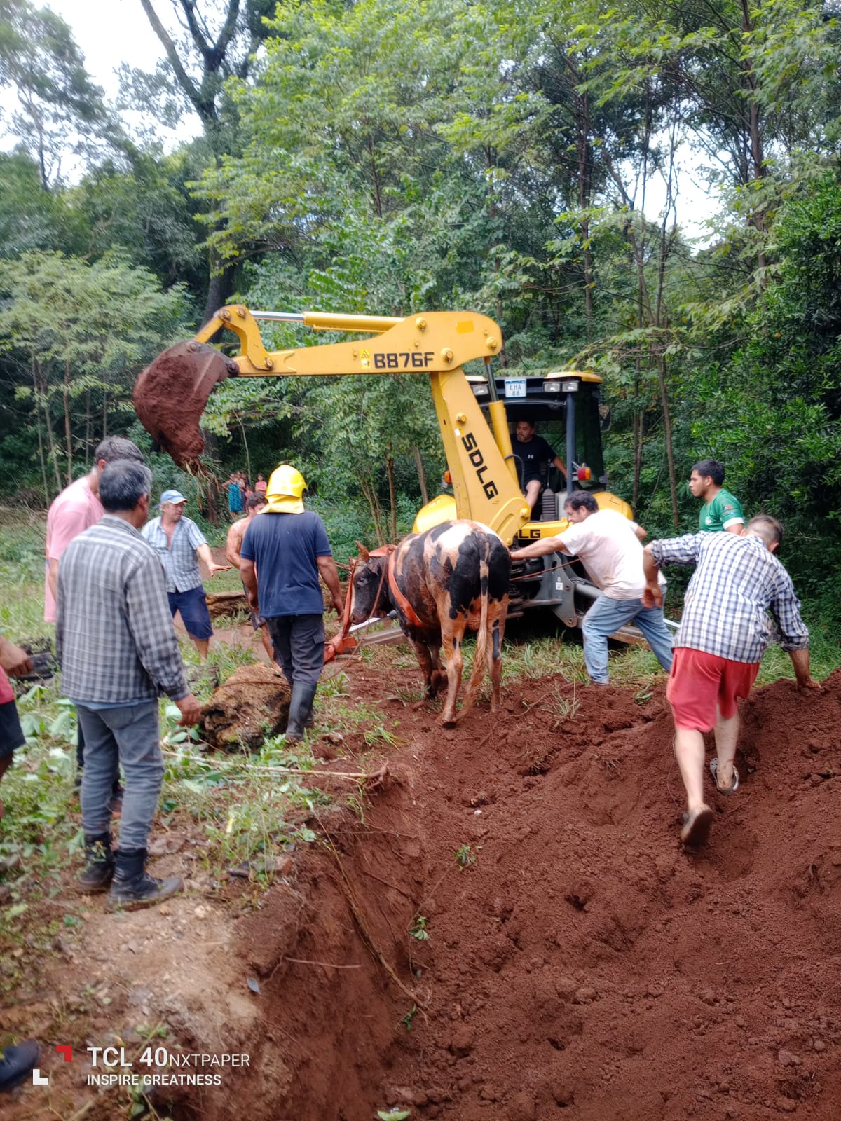 Rescataron a un animal vacuno que cayó a un pozo en Santa Ana 2